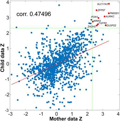 The shared mother-child epigenetic signature of neglect is related to maternal adverse events